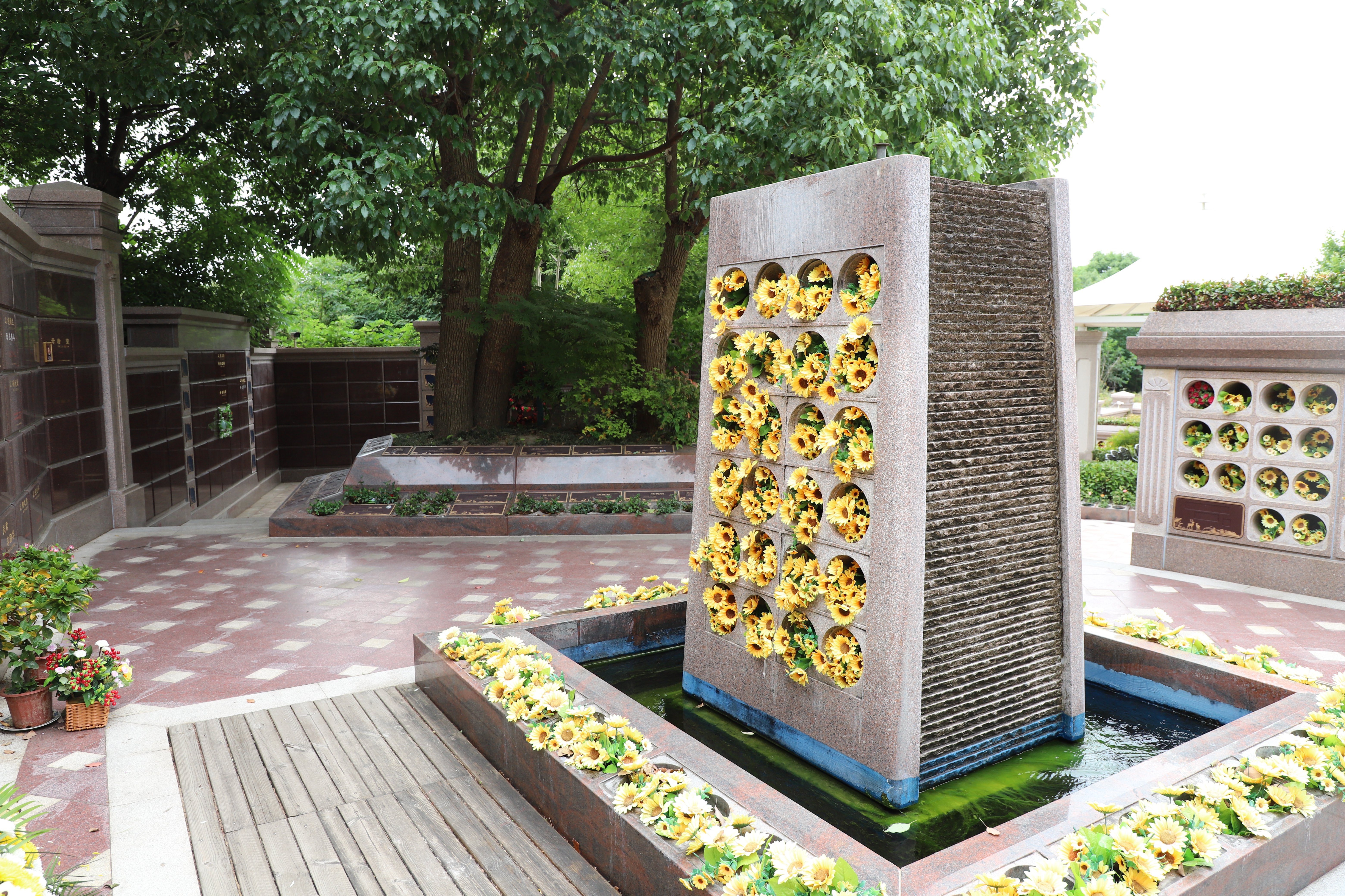 ��ҳ - ���ɱ����ǹ��ʹٷ���վ