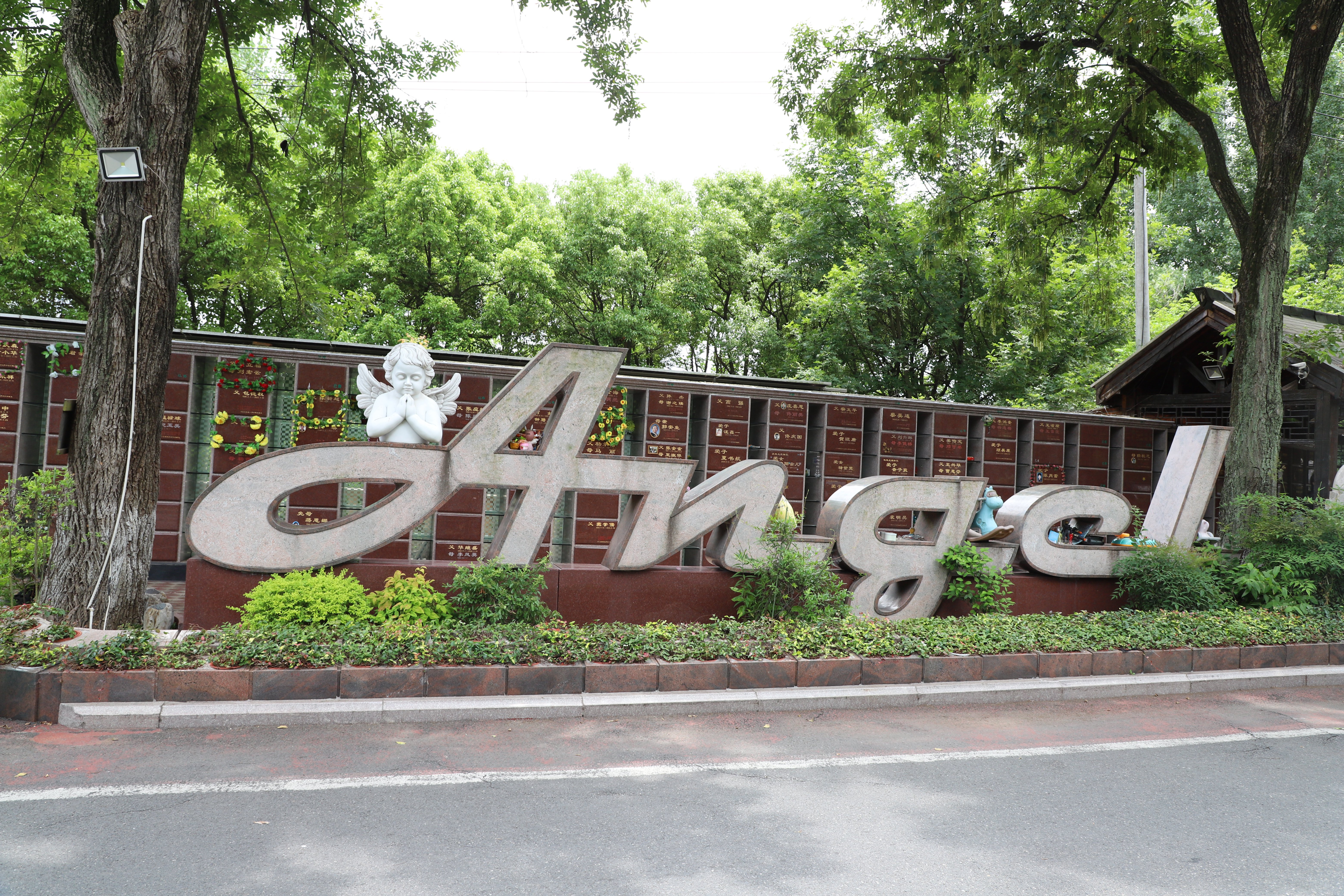 ��ҳ - ���ɱ����ǹ��ʹٷ���վ