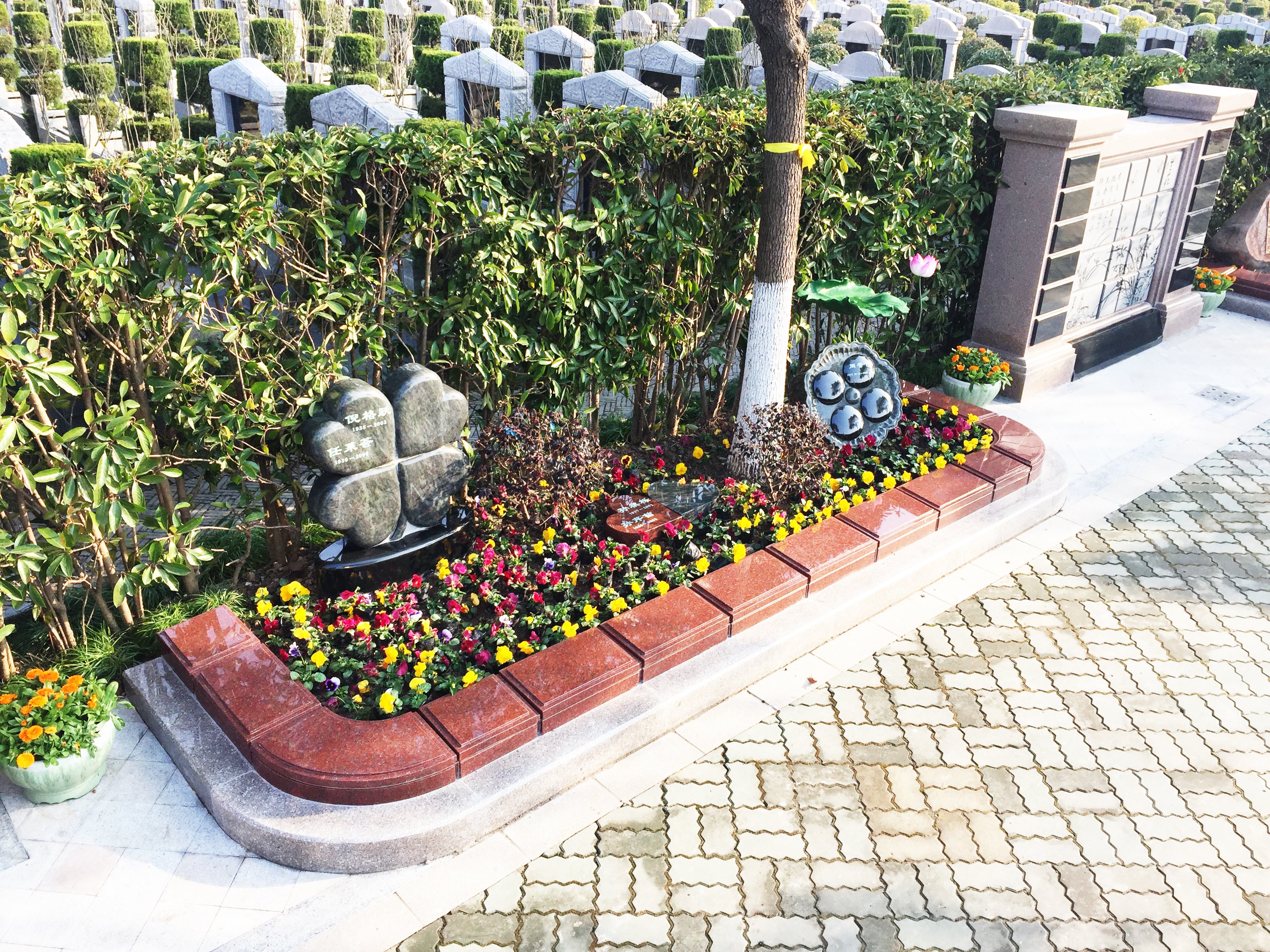 ��ҳ - ���ɱ����ǹ��ʹٷ���վ