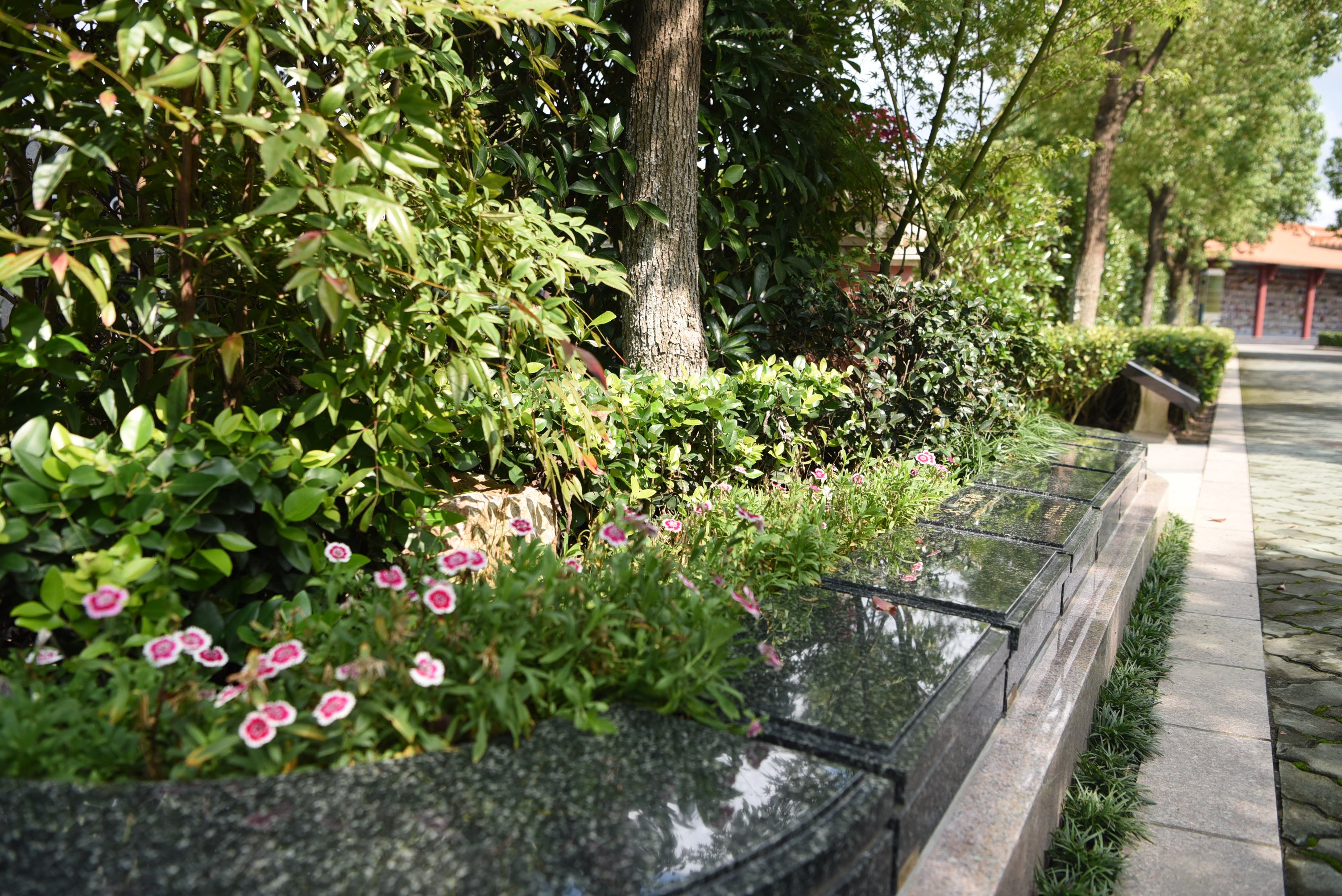 ��ҳ - ���ɱ����ǹ��ʹٷ���վ