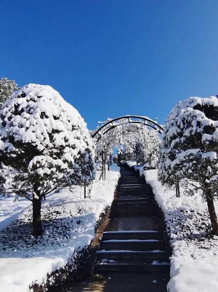 ��ҳ - ���ɱ����ǹ��ʹٷ���վ