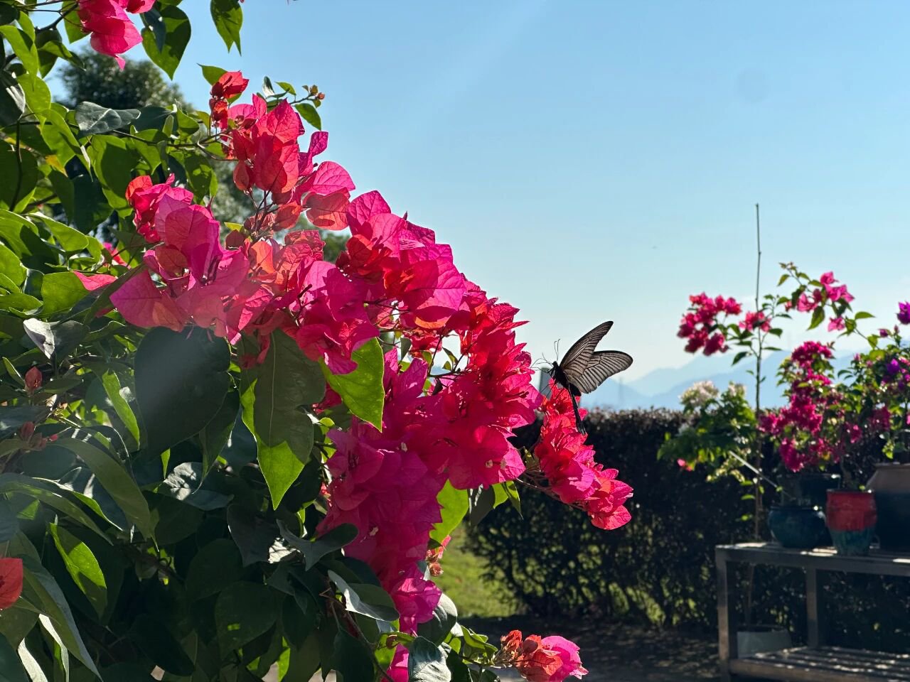 ��ҳ - ���ɱ����ǹ��ʹٷ���վ