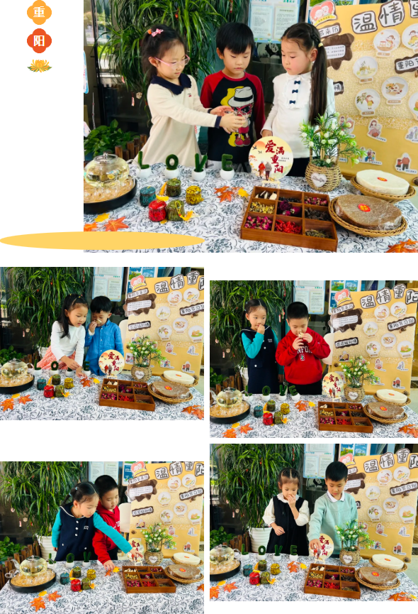 ��ҳ - ���ɱ����ǹ��ʹٷ���վ