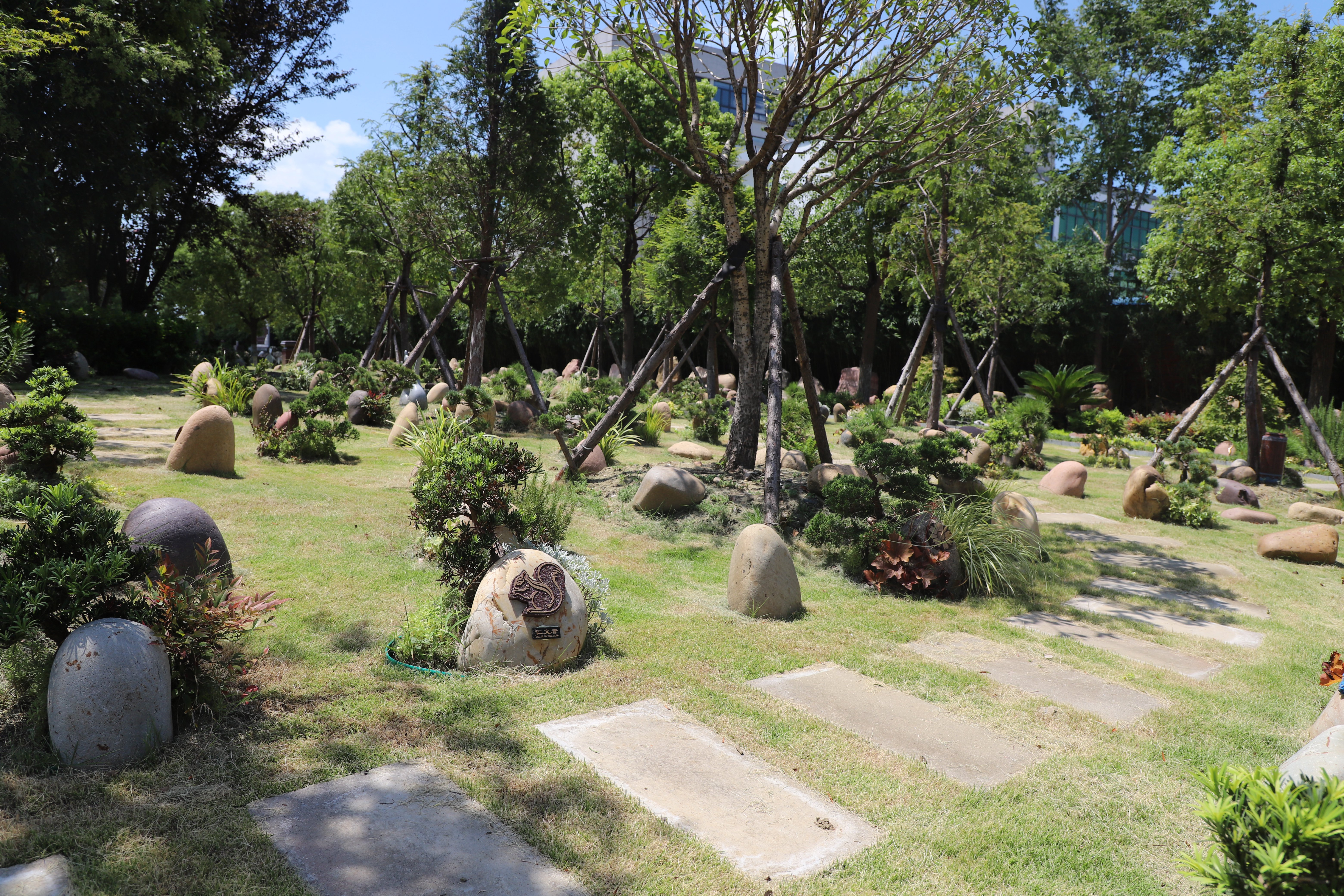 ��ҳ - ���ɱ����ǹ��ʹٷ���վ