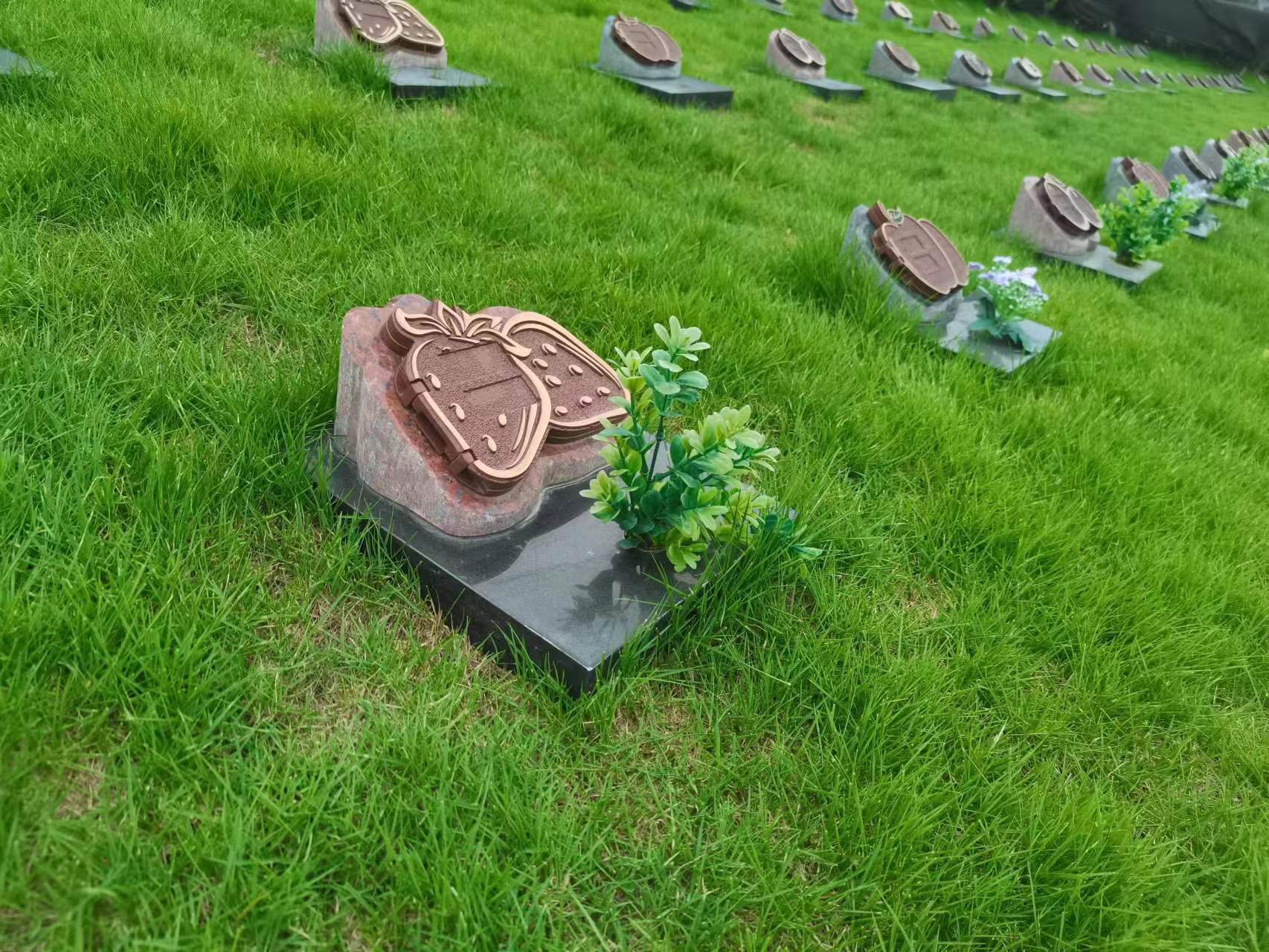 ��ҳ - ���ɱ����ǹ��ʹٷ���վ