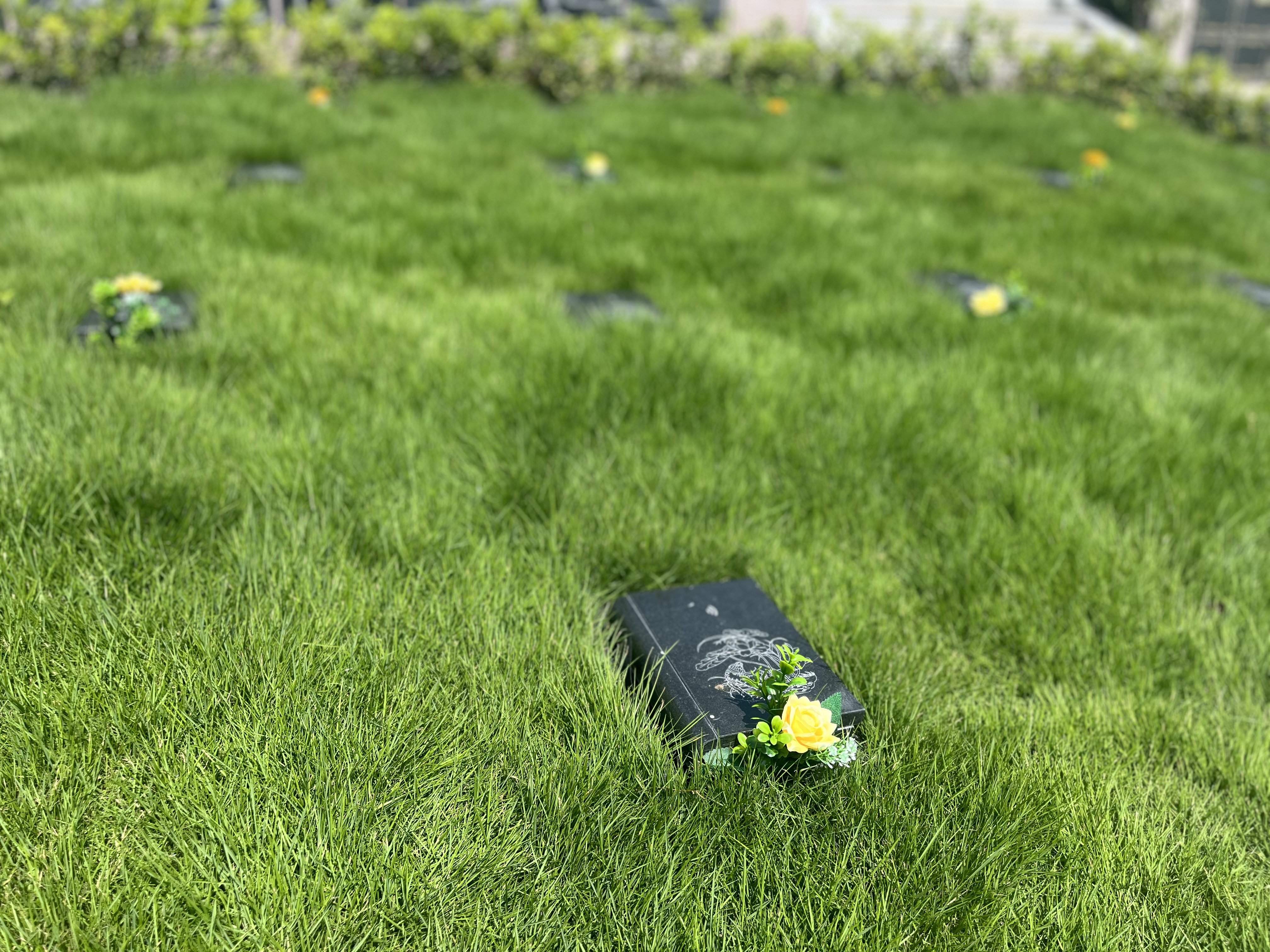 ��ҳ - ���ɱ����ǹ��ʹٷ���վ