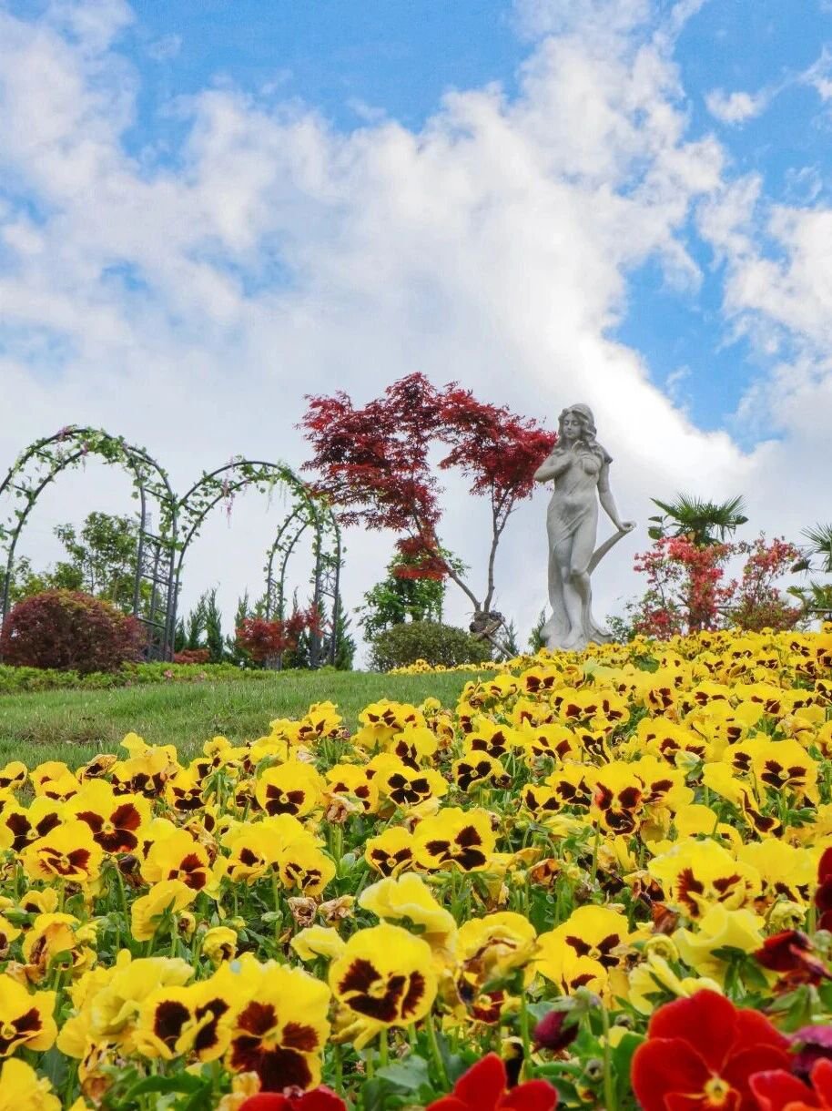 ��ҳ - ���ɱ����ǹ��ʹٷ���վ