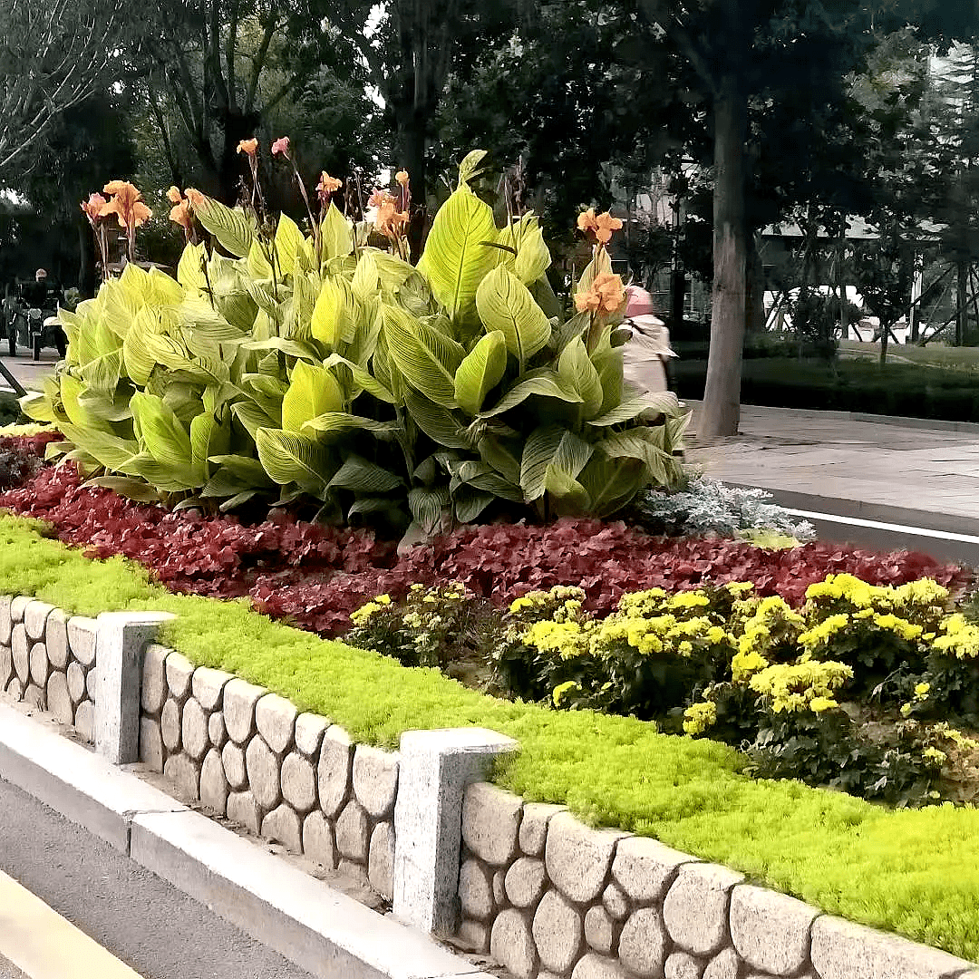 ��ҳ - ���ɱ����ǹ��ʹٷ���վ