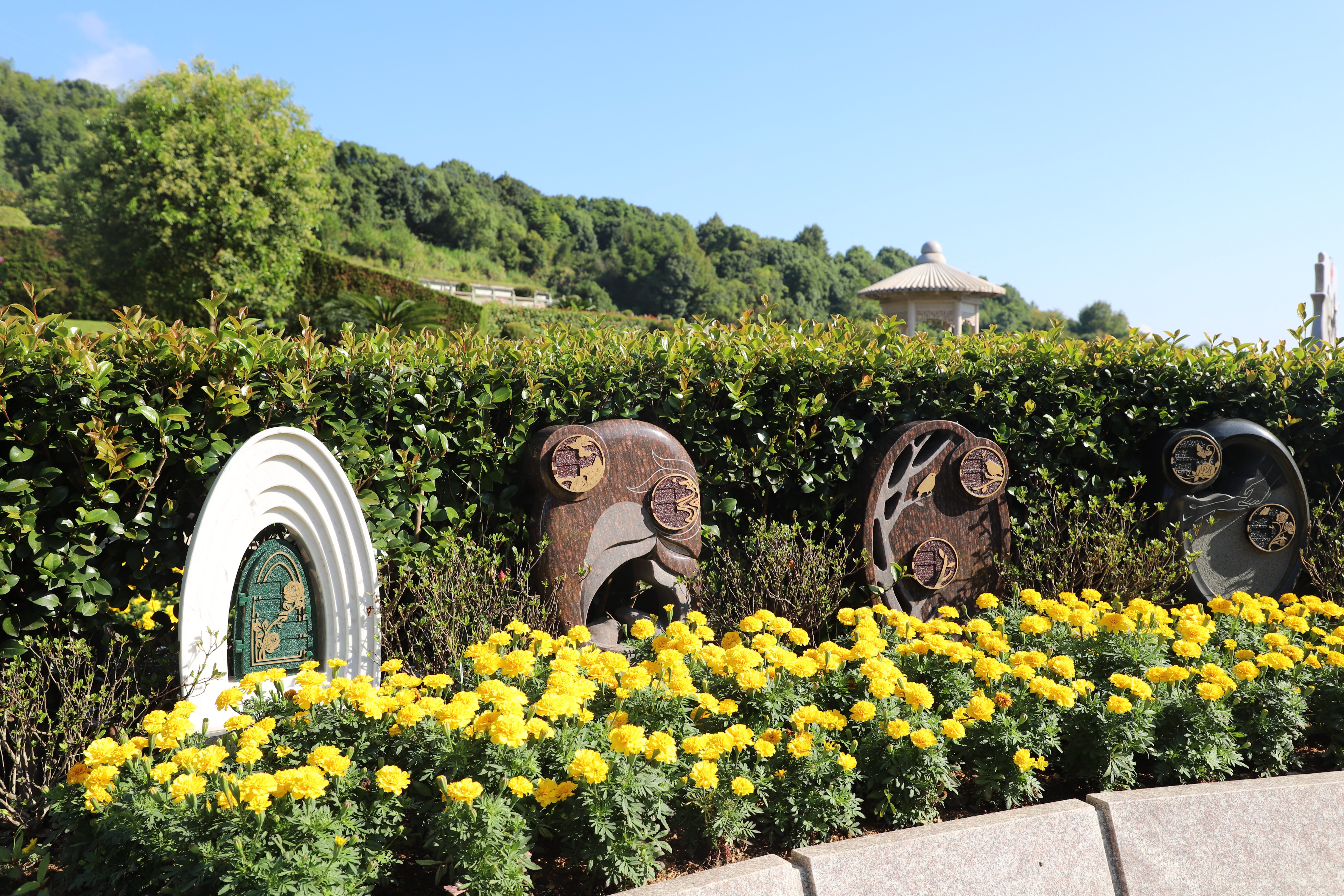 1-260129153041930 Ê×Ò³ - ·ÆÂɱöÑÇÐǹú¼Ê¹Ù·½ÍøÕ¾