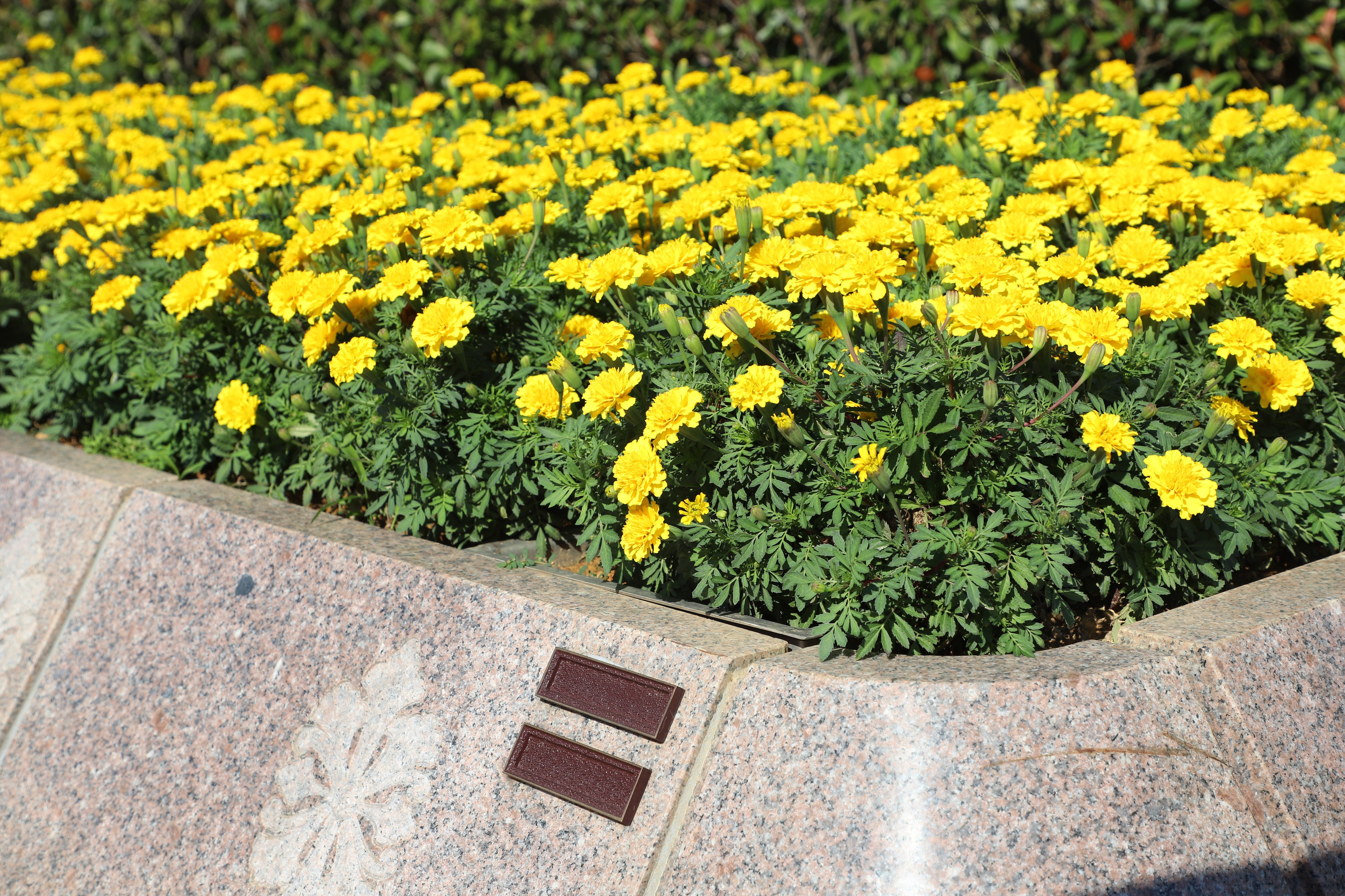 1-2601291531014E Ê×Ò³ - ·ÆÂɱöÑÇÐǹú¼Ê¹Ù·½ÍøÕ¾